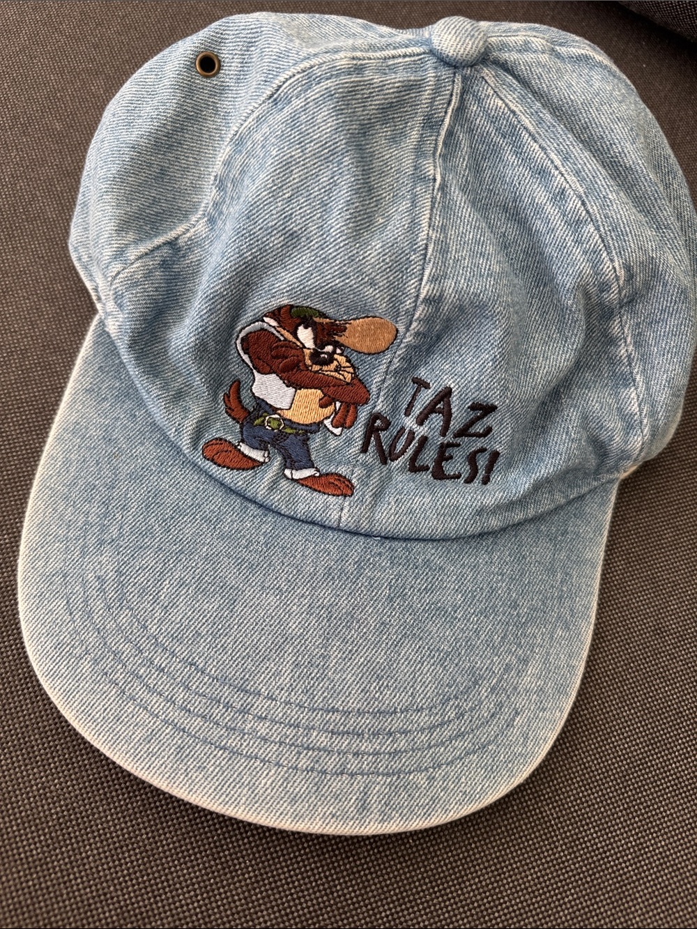 Y2K Looney Tunes Taz Tasmanian Devil Embroidered Denim Hat Cap Vintage 1997 WB